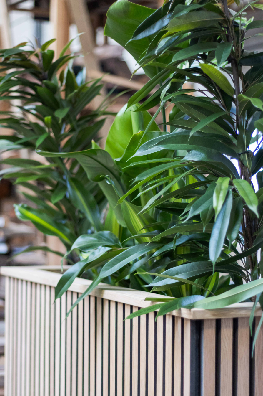 Plantenbak van akupanelen incl. planten